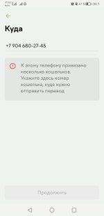 Screenshot_20260818_081724_ru.yoo.money.jpg